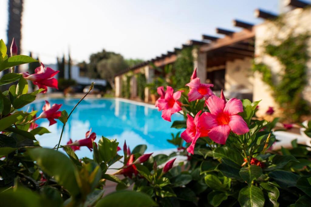 Spaziosa Villa Con Piscina E Giardino, Polignano A Mare Esterno foto