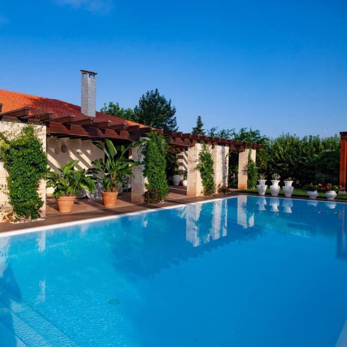 Spaziosa Villa Con Piscina E Giardino, Polignano A Mare Esterno foto